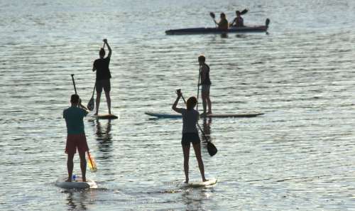 Stand Up Paddler auf der Elbe