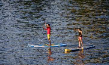 Padding 3649324 1920 Web