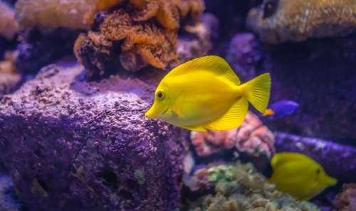 Zq Lee Q6h4swjsadi Unsplash 3