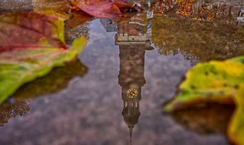 Amelie Niklas Ohlrogge Zle2bnuzuka Unsplash 4