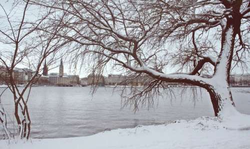 Pixabay Winter 32446082